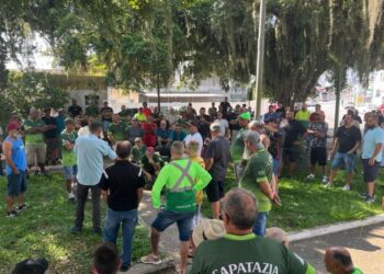 Greve de caminhoneiros começa em Itajaí com ato no porto e adesão regional