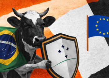 Brasil deve concentrar 42,5% da cota de carne bovina no acordo Mercosul–União Europeia