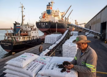 China restringe exportações de fertilizantes e pressiona mercado global
