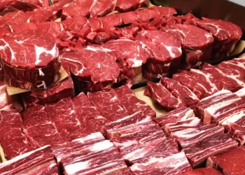 Guerra no Irã ameaça exportações brasileiras de carne e pode afetar bilhões em negócios