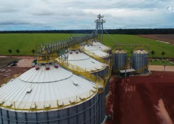 Falta de armazenagem em Mato Grosso eleva custos e pressiona produtores rurais