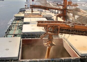 Exportação de soja para a China tem novas regras de inspeção no Brasil