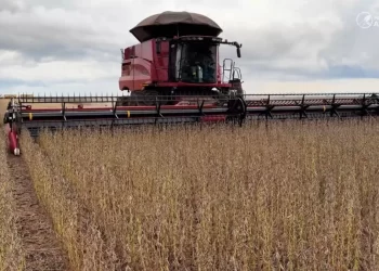 Vendas de soja em Mato Grosso avançam, mas produtores mantêm cautela mesmo com alta nos preços