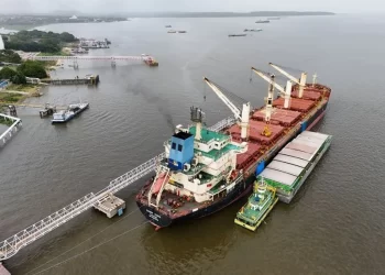 Cargill suspende exportação de soja do Brasil para a China após mudanças em inspeção