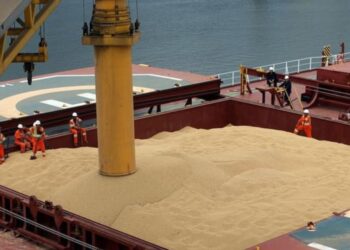 Exportação de arroz brasileiro ganha impulso com contrato internacional de 400 mil sacos