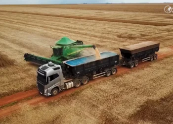 Frete de grãos em Mato Grosso sobe com escassez de caminhões