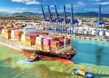 Portonave alcança 15 milhões de TEUs e lidera movimentação portuária em Santa Catarina