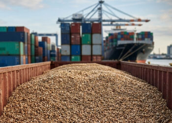 Transporte marítimo de grãos cresce 10,8% e ganha força com novas rotas globais