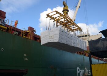 APS publica nova norma para Manifesto de Carga e Boletim de Descarga no Porto de Santos