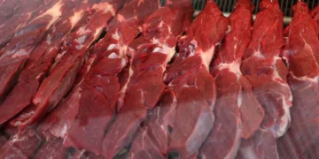Exportação de carne bovina para China já atinge metade da cota de salvaguarda