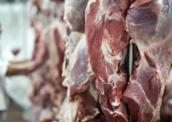 China libera frigoríficos brasileiros e retoma importação de carne bovina