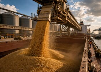 China ameaça exportações do agro brasileiro com plano para reduzir importações até 2030