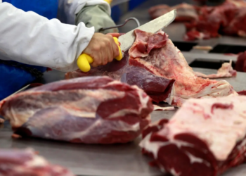 Exportação de carne bovina para China pode cair e pressionar mercado do boi gordo
