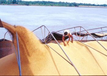 Rio Tapajós bate recordes e fortalece logística sustentável na Amazônia