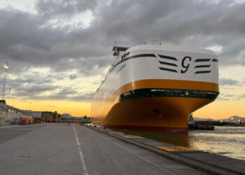 Porto de Itajaí recebe navio com mais de 4,5 mil veículos da BYD – veja o vídeo