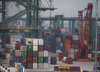Exportação por contêiner cresce no Brasil e impulsiona abertura de novos mercados