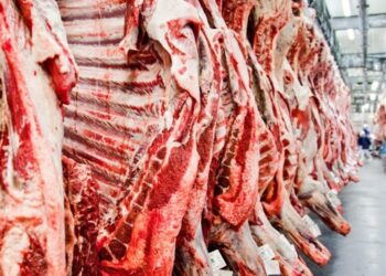 Exportação de carne bovina para a Venezuela volta ao radar dos frigoríficos brasileiros