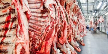 Exportação de carne bovina para a Venezuela volta ao radar dos frigoríficos brasileiros