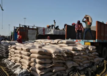 Exportação de açúcar da Índia deve permanecer restrita por três safras e impulsionar preços globais