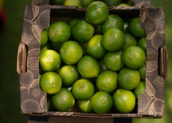 Frutas brasileiras ganham espaço na Índia com missão comercial apoiada pelo Mapa