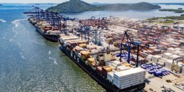 Exportações de frango pelos portos do Paraná atingem 47,3% do total brasileiro em 2026