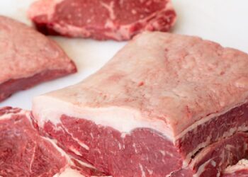 Embargo à carne bovina brasileira entra na pauta de diálogo entre Brasil e União Europeia durante o G7