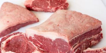 Embargo à carne bovina brasileira entra na pauta de diálogo entre Brasil e União Europeia durante o G7