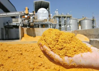 Etanol de milho ganha padrão oficial e fortalece exportações brasileiras