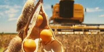 Argentina anuncia plano para eliminar impostos sobre exportações agrícolas até 2028
