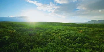 China estabelece meta de reduzir em 17% a intensidade de carbono até 2030