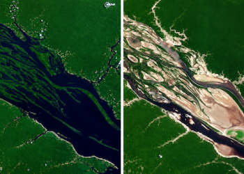 Seca na Amazônia leva empresas a anteciparem cargas e reforçarem a logística na Região Norte