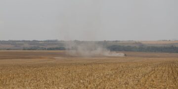 Rastreabilidade da soja e da carne bovina ganha propostas para reduzir riscos ambientais no Brasil