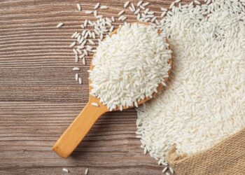 Exportações de arroz atingem recorde no primeiro semestre e impulsionam recuperação dos preços