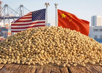 Importações de soja da China: compras dos EUA caem 21% e Brasil amplia participação