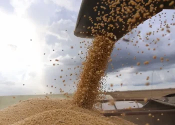 Exportações de soja de Mato Grosso batem recorde no primeiro semestre de 2026