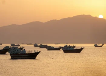 Estreito de Ormuz: entidades marítimas pedem à ONU rejeição de pedágios para navios