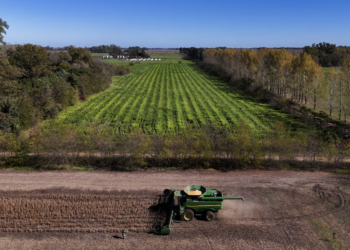 Super El Niño pode afetar produção de alimentos e logística na América Latina