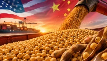 China acelera compras de soja dos EUA diante de risco de safra menor e preços mais altos