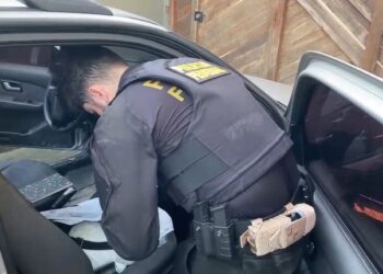 PF deflagra operação contra tráfico internacional de drogas no Porto de Paranaguá