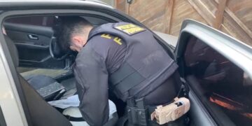 PF deflagra operação contra tráfico internacional de drogas no Porto de Paranaguá