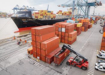 O que os portos brasileiros movimentam? Conheça os principais tipos de carga