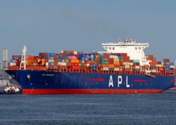 Porto de Itajaí recebe navio de 347 metros em operação recorde da JBS Terminais