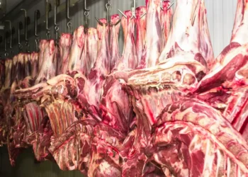 CNA pede medidas contra União Europeia após embargo à carne brasileira