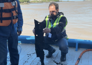 Porto de Itajaí realiza mergulhos técnicos para definir remoção do Pallas