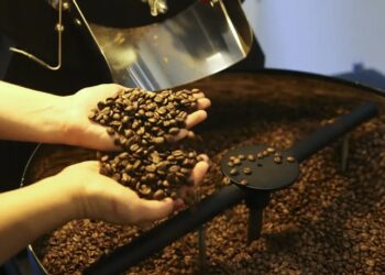 Produção de café no Brasil deve chegar a 67,6 milhões de sacas em 2026