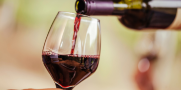 Anuário do Vinho 2026: Brasil tinha 965 vinícolas registradas em 2025