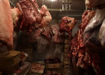 Missão chinesa inspeciona frigoríficos brasileiros e avalia exportações de carne