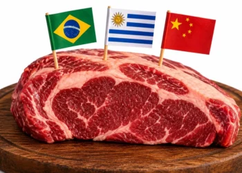Outubro é janela para Brasil exportar carne bovina da cota uruguaia à China