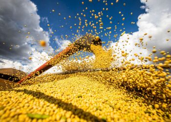 Produção agrícola brasileira chega a R$ 927,2 bilhões em 2025