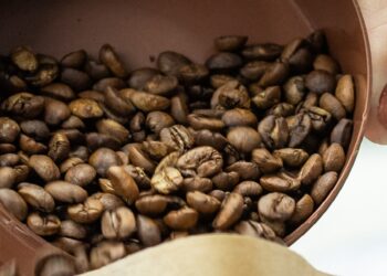 Exportação de café brasileiro cresce 3,1% em volume, mas receita recua 7,1% em setembro